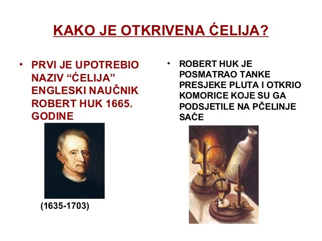 Ćelija