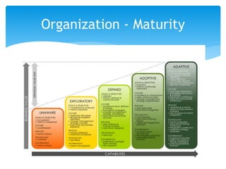 Organization - Maturity
 
