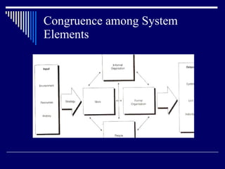 Congruence among System Elements 
