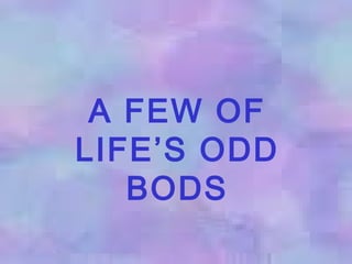 A FEW OF
LIFE’S ODD
BODS
 