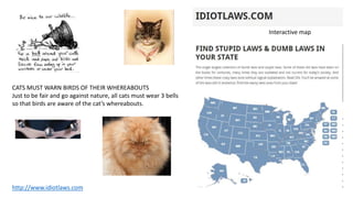 http://www.idiotlaws.com
Interactive map
CATS MUST WARN BIRDS OF THEIR WHEREABOUTS
Just to be fair and go against nature, all cats must wear 3 bells
so that birds are aware of the cat’s whereabouts.
 