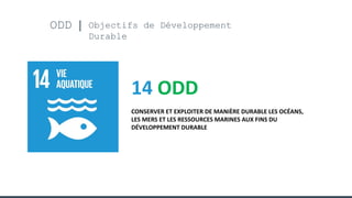 ODD Objectifs de Développement
Durable
14 ODD
CONSERVER ET EXPLOITER DE MANIÈRE DURABLE LES OCÉANS,
LES MERS ET LES RESSOURCES MARINES AUX FINS DU
DÉVELOPPEMENT DURABLE
 