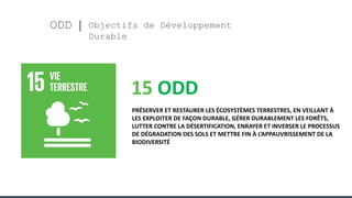 ODD Objectifs de Développement
Durable
15 ODD
PRÉSERVER ET RESTAURER LES ÉCOSYSTÈMES TERRESTRES, EN VEILLANT À
LES EXPLOITER DE FAÇON DURABLE, GÉRER DURABLEMENT LES FORÊTS,
LUTTER CONTRE LA DÉSERTIFICATION, ENRAYER ET INVERSER LE PROCESSUS
DE DÉGRADATION DES SOLS ET METTRE FIN À L’APPAUVRISSEMENT DE LA
BIODIVERSITÉ
 