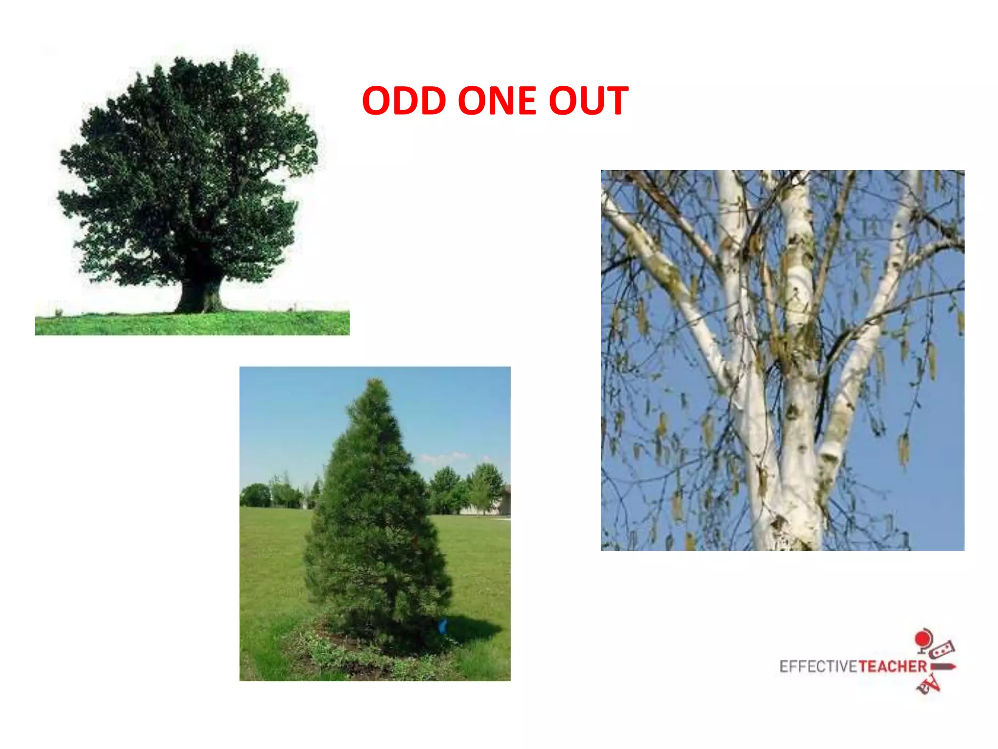 Odd one out ppt | PPTX