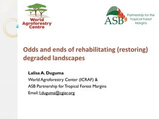Odds and ends of rehabilitating (restoring)
degraded landscapes
Lalisa A. Duguma
World Agroforestry Center (ICRAF) &
ASB Partnership forTropical Forest Margins
Email: l.duguma@cgiar.org
 
