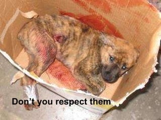 Don’t you respect them … 