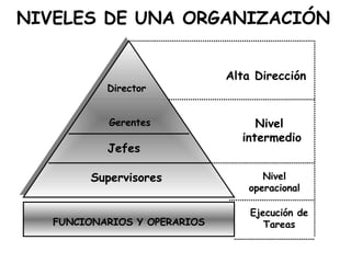 NIVELES DE UNA ORGANIZACIÓN   FUNCIONARIOS Y OPERARIOS Director Gerentes Jefes Supervisores Alta Dirección Nivel  intermedio Nivel operacional Ejecución de Tareas 