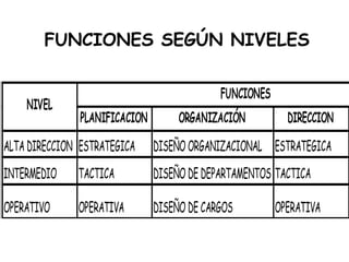 FUNCIONES SEGÚN NIVELES 