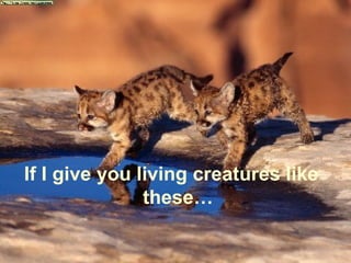 If I give you living creatures like
               these…
 