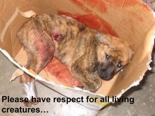 Please have respect for all living
creatures…
 