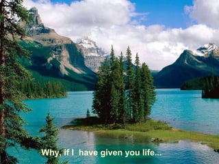 Why, if I have given you life...
 