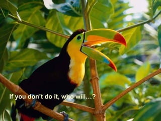 If you don’t do it, who will…?
 