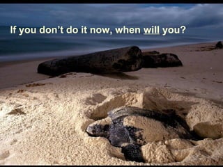 If you don’t do it now, when will you?
 