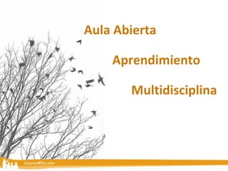 Aula Abierta Aprendimiento Multidisciplina 