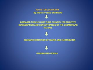 ACUTE TUBULAR INJURY
by shock or toxic chemicals
DAMAGED TUBULES LOSE THEIR CAPACITY FOR SELECTIVE
REABSORPTION AND CONCENTRATION OF THE GLOMERULAR
FILTRATE
EXCESSIVE RETENTION OF WATER AND ELECTROLYTES
GENERALISED ODEMA
 