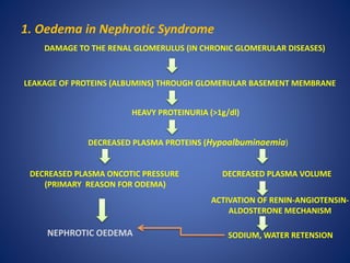 1. Oedema in Nephrotic Syndrome
DAMAGE TO THE RENAL GLOMERULUS (IN CHRONIC GLOMERULAR DISEASES)
LEAKAGE OF PROTEINS (ALBUMINS) THROUGH GLOMERULAR BASEMENT MEMBRANE
HEAVY PROTEINURIA (>1g/dl)
DECREASED PLASMA PROTEINS (Hypoalbuminaemia)
DECREASED PLASMA ONCOTIC PRESSURE
(PRIMARY REASON FOR ODEMA)
DECREASED PLASMA VOLUME
ACTIVATION OF RENIN-ANGIOTENSIN-
ALDOSTERONE MECHANISM
SODIUM, WATER RETENSIONNEPHROTIC OEDEMA
 