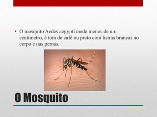 O Mosquito
• O mosquito Aedes aegypti mede menos de um
centímetro, é tom de café ou preto com listras brancas no
corpo e nas pernas.
 