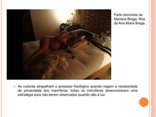 Parto domiciliar de
                                                             Mariana Braga, filha
                                                             da Ana Maria Braga.




   As culturas atrapalham o processo fisiológico quando negam a necessidade
    de privacidade dos mamíferos: todos os mamíferos desenvolveram uma
    estratégia para não serem observados quando dão à luz
 