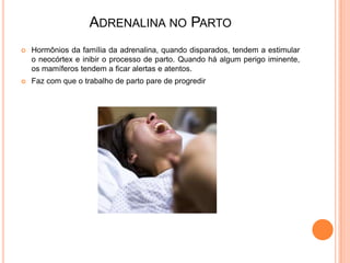 ADRENALINA NO PARTO
   Hormônios da família da adrenalina, quando disparados, tendem a estimular
    o neocórtex e inibir o processo de parto. Quando há algum perigo iminente,
    os mamíferos tendem a ficar alertas e atentos.
   Faz com que o trabalho de parto pare de progredir
 