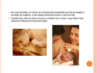    No caso do bebê, um afluxo de noradrenalina possibilita que ele se adapte à
    privação de oxigênio, e que esteja alerta para achar o seio da mãe
   O bebê ativo abre os olhos e busca o contato com a mãe, o que libera mais
    ocitocina. Mecanismo de preservação
 