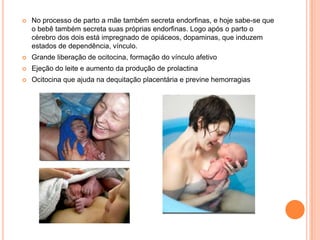    No processo de parto a mãe também secreta endorfinas, e hoje sabe-se que
    o bebê também secreta suas próprias endorfinas. Logo após o parto o
    cérebro dos dois está impregnado de opiáceos, dopaminas, que induzem
    estados de dependência, vínculo.
   Grande liberação de ocitocina, formação do vínculo afetivo
   Ejeção do leite e aumento da produção de prolactina
   Ocitocina que ajuda na dequitação placentária e previne hemorragias
 