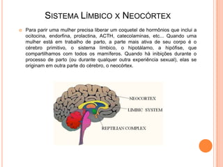 SISTEMA LÍMBICO X NEOCÓRTEX
   Para parir uma mulher precisa liberar um coquetel de hormônios que inclui a
    ocitocina, endorfina, prolactina, ACTH, catecolaminas, etc... Quando uma
    mulher está em trabalho de parto, a parte mais ativa de seu corpo é o
    cérebro primitivo, o sistema límbico, o hipotálamo, a hipófise, que
    compartilhamos com todos os mamíferos. Quando há inibições durante o
    processo de parto (ou durante qualquer outra experiência sexual), elas se
    originam em outra parte do cérebro, o neocórtex.
 