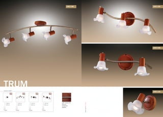 серия 1967
TRUM
цвет покрытия:
бронза
материал:
дерево
/1W /4W /2W /3W
140 mm
180 mm
E14
1x40W
250 mm
860 mm
E14
4x40W
150 mm
400 mm
E14
2x40W
150 mm
600 mm
E14
3x40W
1967/4W
1967/2W
1967/3W
1967/1W
OdeonLight2013–2014
 