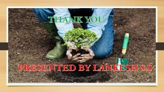 ORDINARY DIFFERENTIAL EQUATION 