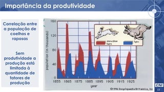 Importância da produtividade
13
Correlação entre
a população de
coelhos e
raposas
Sem
produtividade a
produção está
limitada à
quantidade de
fatores de
produção
 