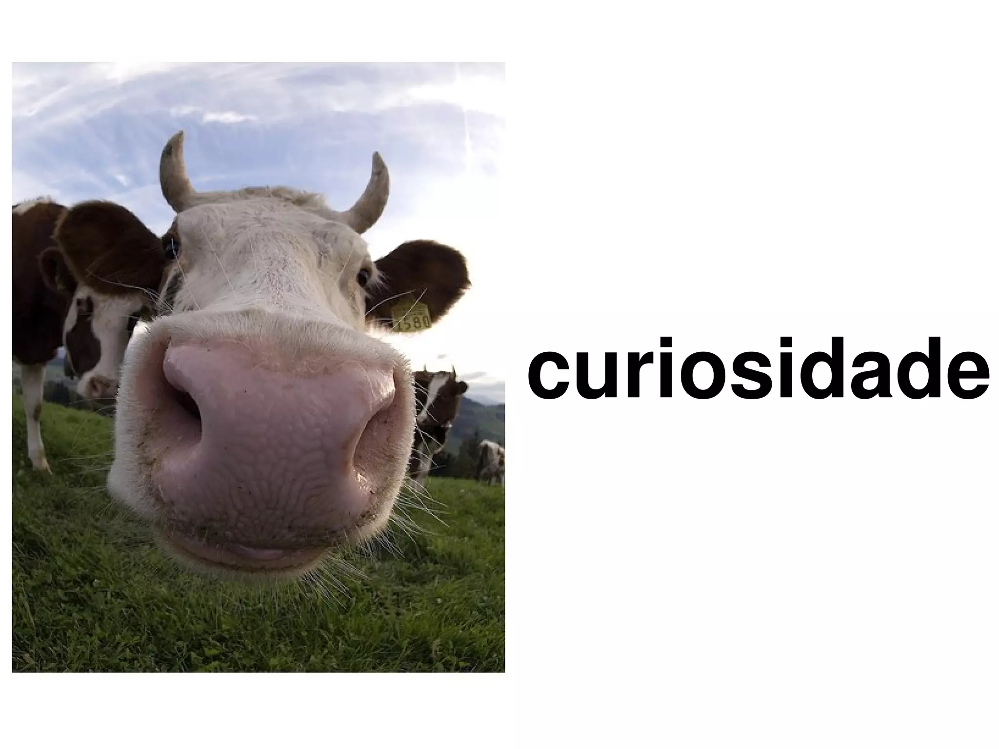 curiosidade


     
 