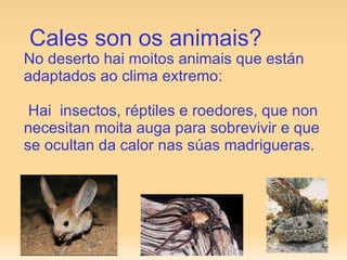 Cales son os animais? No deserto hai moitos animais que están adaptados ao clima extremo: Hai  insectos, réptiles e roedores, que non necesitan moita auga para sobrevivir e que se ocultan da calor nas súas madrigueras. 
