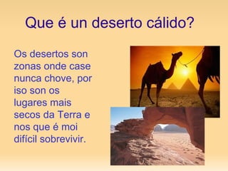 Que é un deserto cálido? Os desertos son zonas onde case nunca chove, por iso son os lugares mais secos da Terra e nos que é moi difícil sobrevivir. 
