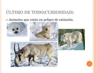 ÚLTIMO DE TODO(CURIOSIDAD)
 Animales que están en peligro de extinción.
 