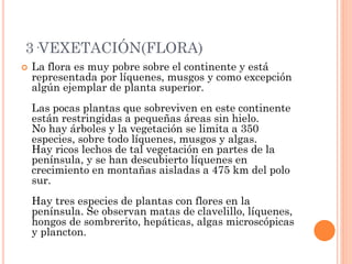 3·VEXETACIÓN(FLORA)
 La flora es muy pobre sobre el continente y está
representada por líquenes, musgos y como excepción
algún ejemplar de planta superior.
Las pocas plantas que sobreviven en este continente
están restringidas a pequeñas áreas sin hielo.
No hay árboles y la vegetación se limita a 350
especies, sobre todo líquenes, musgos y algas.
Hay ricos lechos de tal vegetación en partes de la
península, y se han descubierto líquenes en
crecimiento en montañas aisladas a 475 km del polo
sur.
Hay tres especies de plantas con flores en la
península. Se observan matas de clavelillo, líquenes,
hongos de sombrerito, hepáticas, algas microscópicas
y plancton.
 