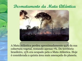Desmatamento da Mata Atlântica




A Mata Atlântica perdeu aproximadamente 93% da sua
cobertura vegetal, restando apenas 7%. Do território
brasileiro, 15% era ocupado pela a Mata Atlântica. Hoje
é considerada a quinta área mais ameaçada do planeta.
 