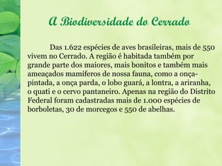 A Biodiversidade do Cerrado
       Das 1.622 espécies de aves brasileiras, mais de 550
vivem no Cerrado. A região é habitada também por
grande parte dos maiores, mais bonitos e também mais
ameaçados mamíferos de nossa fauna, como a onça-
pintada, a onça parda, o lobo guará, a lontra, a ariranha,
o quati e o cervo pantaneiro. Apenas na região do Distrito
Federal foram cadastradas mais de 1.000 espécies de
borboletas, 30 de morcegos e 550 de abelhas.
 