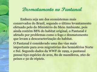 Desmatamento no Pantanal
     Embora seja um dos ecossistemas mais
conservados do Brasil, segundo o último levantamento
efetuado pelo do Ministério do Meio Ambiente, pois
ainda contém 88% do habitat original, o Pantanal é
afetado por problemas como o fogo e desmatamento
que levam a descaracterização do habitat.
O Pantanal é considerado uma das vias mais
importante para aves migratórias dos hemisférios Norte
e Sul. Segundo dados da WWF de 1999, o pantanal
possui 650 espécies de aves, 80 de mamíferos, 260 de
peixes e 50 de répteis.
 