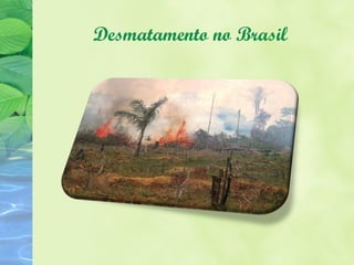 Desmatamento no Brasil
 