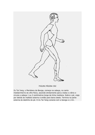 FIGURA PÁGINA 302
Zu Tai Yang, o Meridiano da Bexiga, começa na cabeça, no canto
medial/interno do olho físico, ascende diretamente para a testa e crânio e
circula a cabeça 1 ou 2 centímetros longe da linha mediana. Sobre o pé, viaja
por detrás do maléolo externo e então para baixo deste. Termina na parte
externa do dedinho do pé. O Zu Tai Yang conecta com a bexiga e o rim.

 
