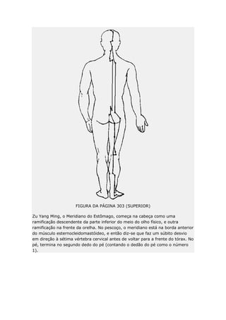 FIGURA DA PÁGINA 303 (SUPERIOR)
Zu Yang Ming, o Meridiano do Estômago, começa na cabeça como uma
ramificação descendente da parte inferior do meio do olho físico, e outra
ramificação na frente da orelha. No pescoço, o meridiano está na borda anterior
do músculo esternocleidomastóideo, e então diz-se que faz um súbito desvio
em direção à sétima vértebra cervical antes de voltar para a frente do tórax. No
pé, termina no segundo dedo do pé (contando o dedão do pé como o número
1).

 