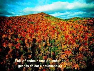 Full of colour and abundance,
 (plenas de cor e abundância,)
 