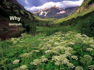 Why
(porquê)
 