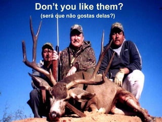 Don’t you like them?
 (será que não gostas delas?)
 
