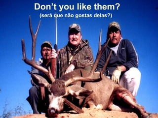 Don’t you like them?
 (será que não gostas delas?)
 