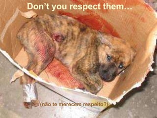 Don’t you respect them…
(não te merecem respeito?)
 