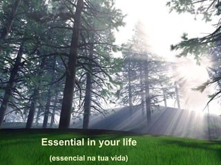 Essential  in your life (essencial na tua vida) 