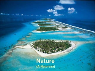 (A Natureza) Nature 