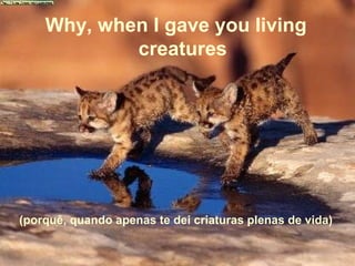Why, when I gave you living
creatures
(porquê, quando apenas te dei criaturas plenas de vida)
 