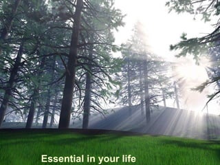 Essential in your life
 