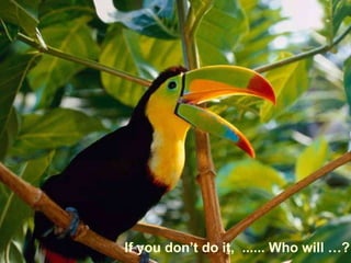 If you don’t do it, ...... Who will …?